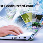 Latest Feedbuzzard Com