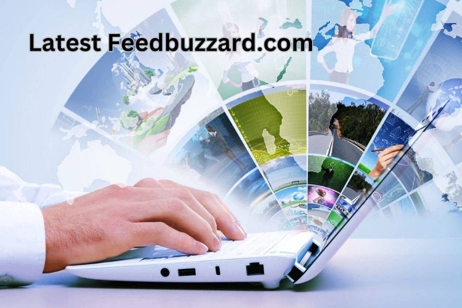 Unlocking Success: Latest Feedbuzzard Com Empowers Businesses