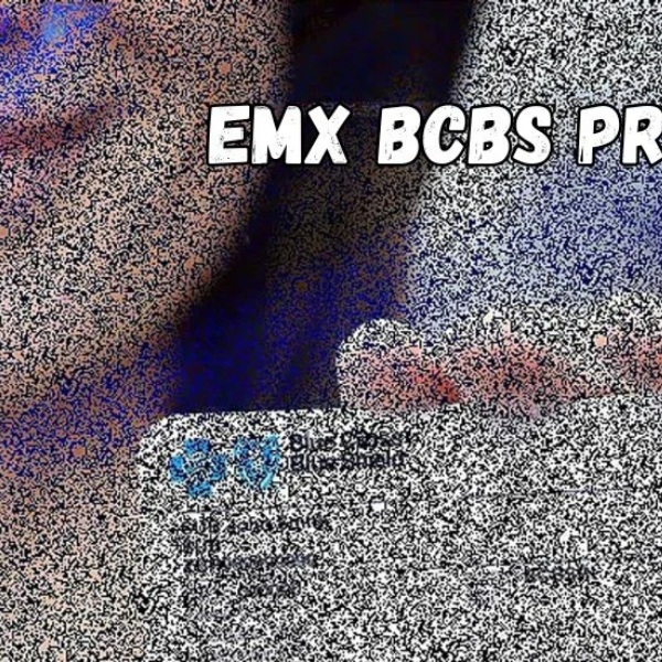 Understanding the EMX BCBS Prefix: A Comprehensive Guide