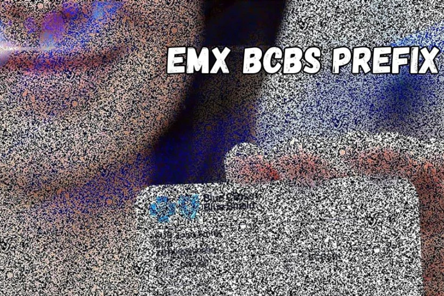 emx bcbs prefix